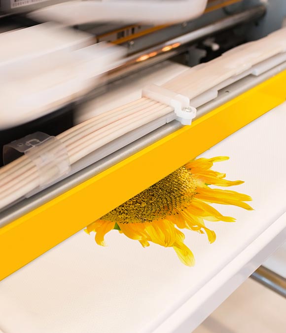 sun flower printing